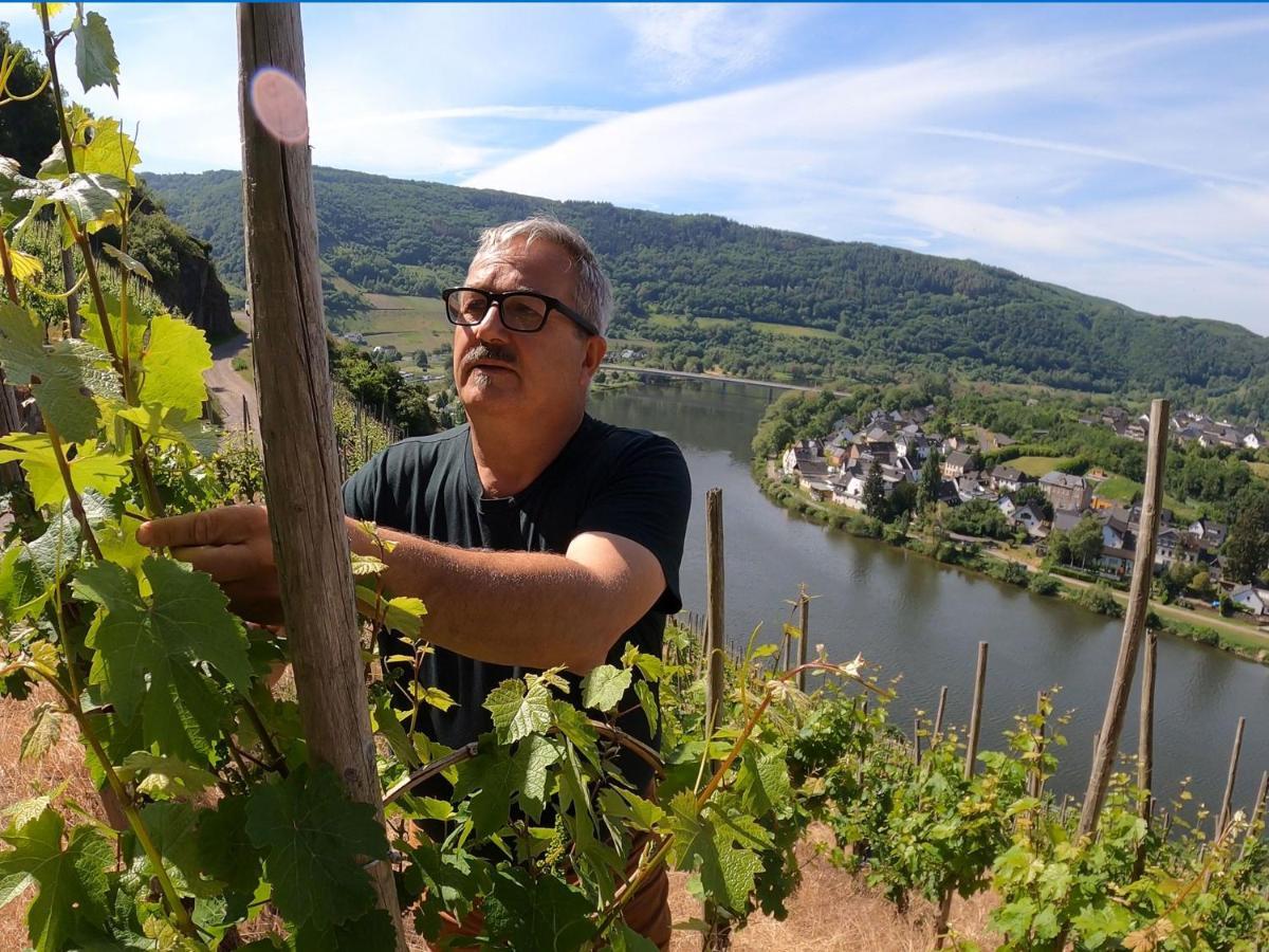 Weingut Und Pension Markus Kochems Mesenich Εξωτερικό φωτογραφία